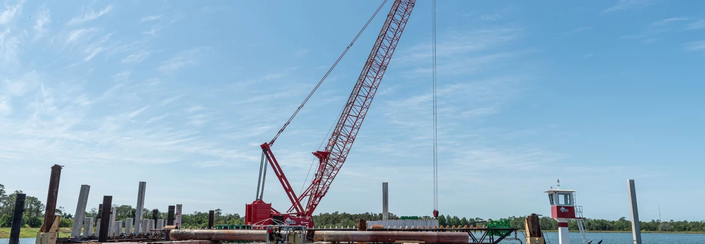 StuckeyPhoto26_122205_44th Manatee