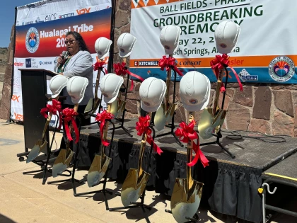 Understanding Governance, Culture, and Compliance